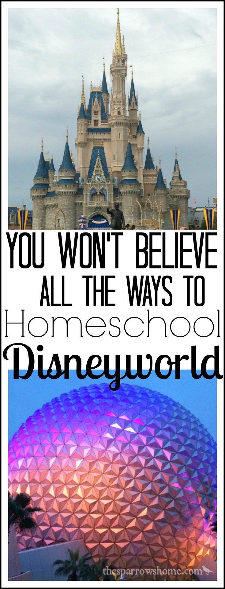 Ways to Homeschool Disneyworld 