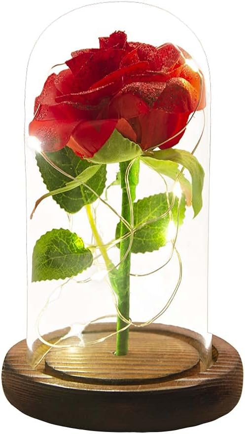 Photo of an opened rose  under a glass dome like in Beauty and the Beast. 