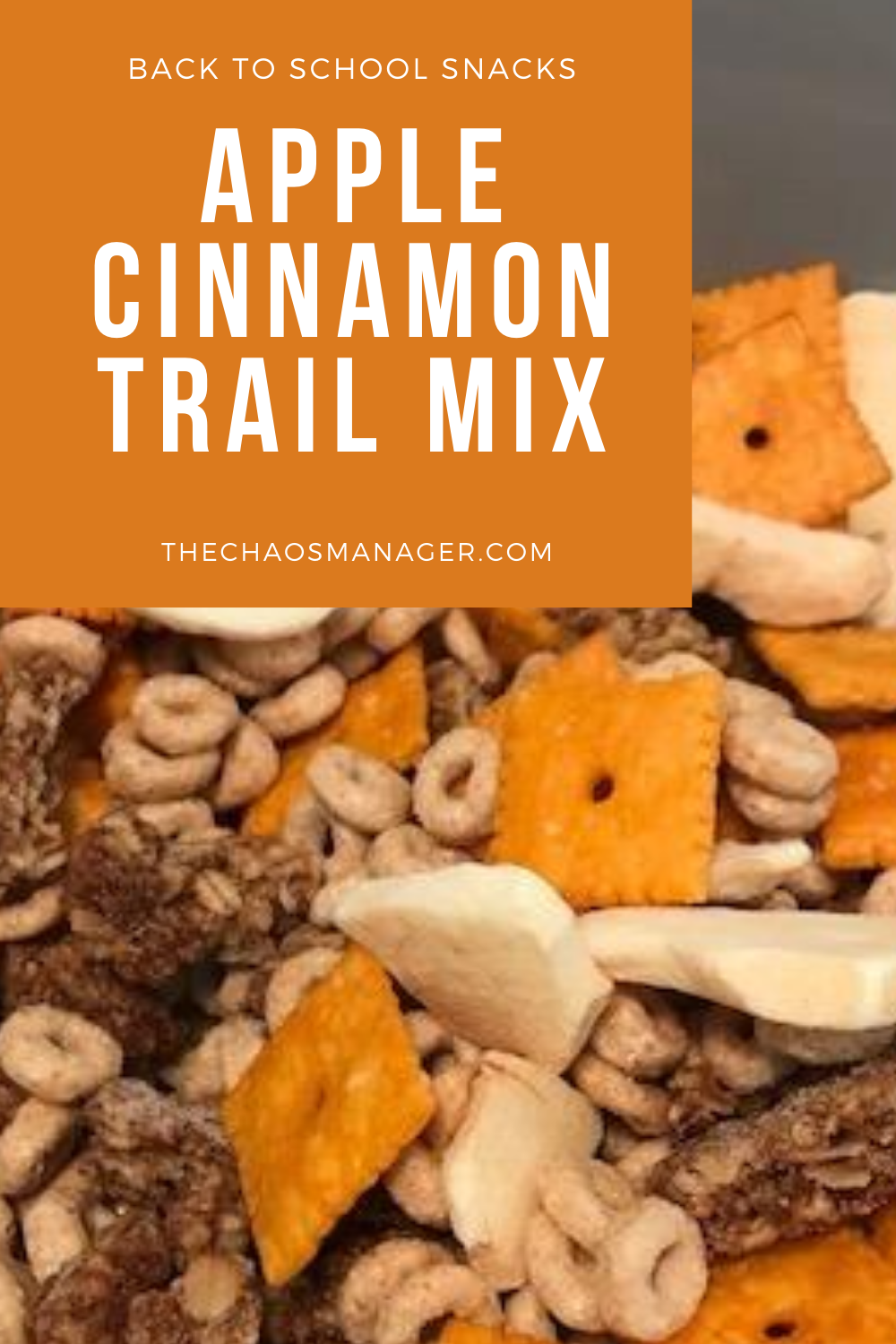 Apple Cinnamon Trail Mix