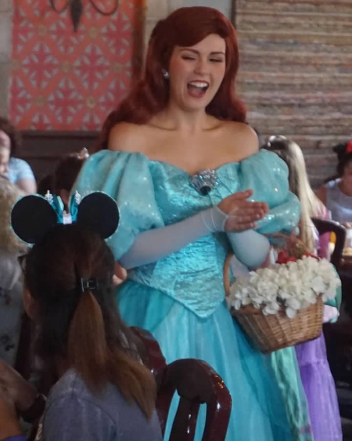 Akershus Royal Banquet Hall- Dining with Disney Princesses ⋆