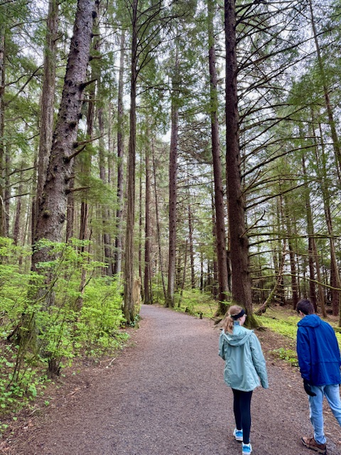 Two children walk along a path with towering trees at Sitka National Historical Park.