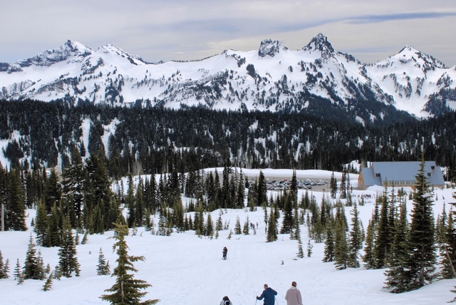 Mount Rainier, covered in the snow is in the distance.  A snowy meadow with evergreen pine trees is in the foreground. 