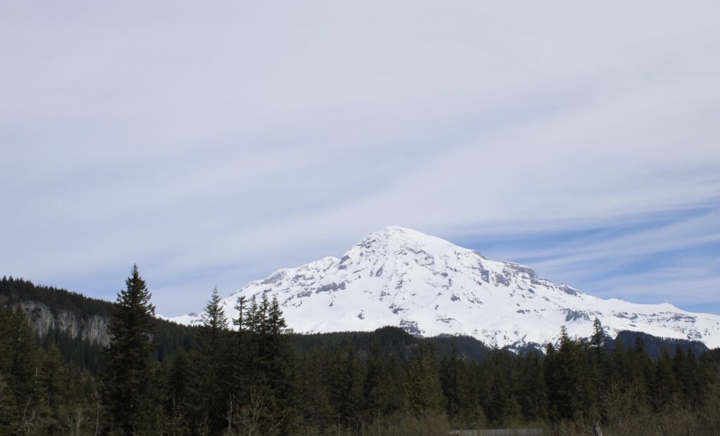 Behind a dense forest sits Mount Rainier.  The peak of the mountain is covered in snow.  The sky is blue with bands of clouds. 