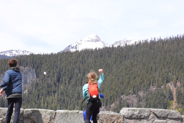 A child with a red backpack throws a snowball over the edge of a short stone wall. Mount Rainier can be seen over the tops of fir trees in front of the child. 
