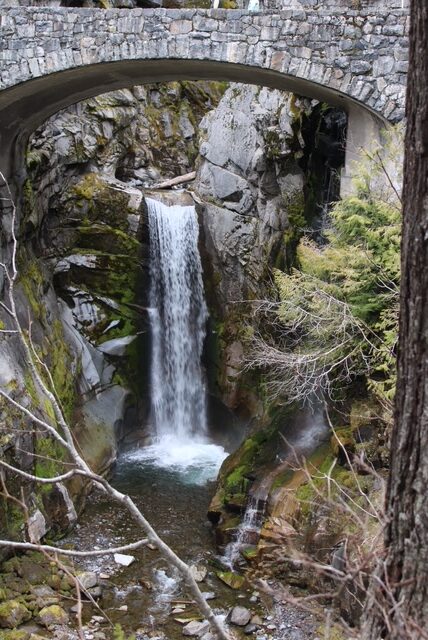 Top: A cobble stone bridge
Behind the bridge  is a waterfall amongst a forested area in Mount Rainier National Park