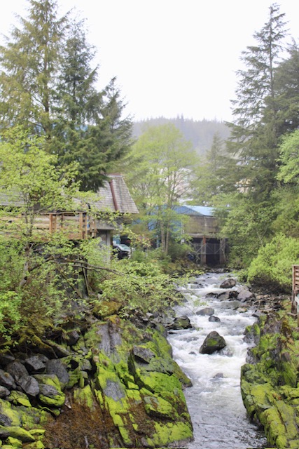 A creek runs through lush greenery in downtown Ketchikan, Alaska. 