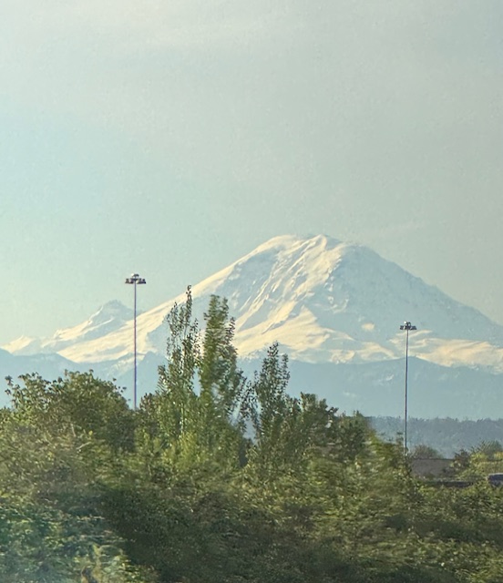 Snow covered Mount Rainier in the distance.  Trees and telephone poles are in the forefront of the photo. 