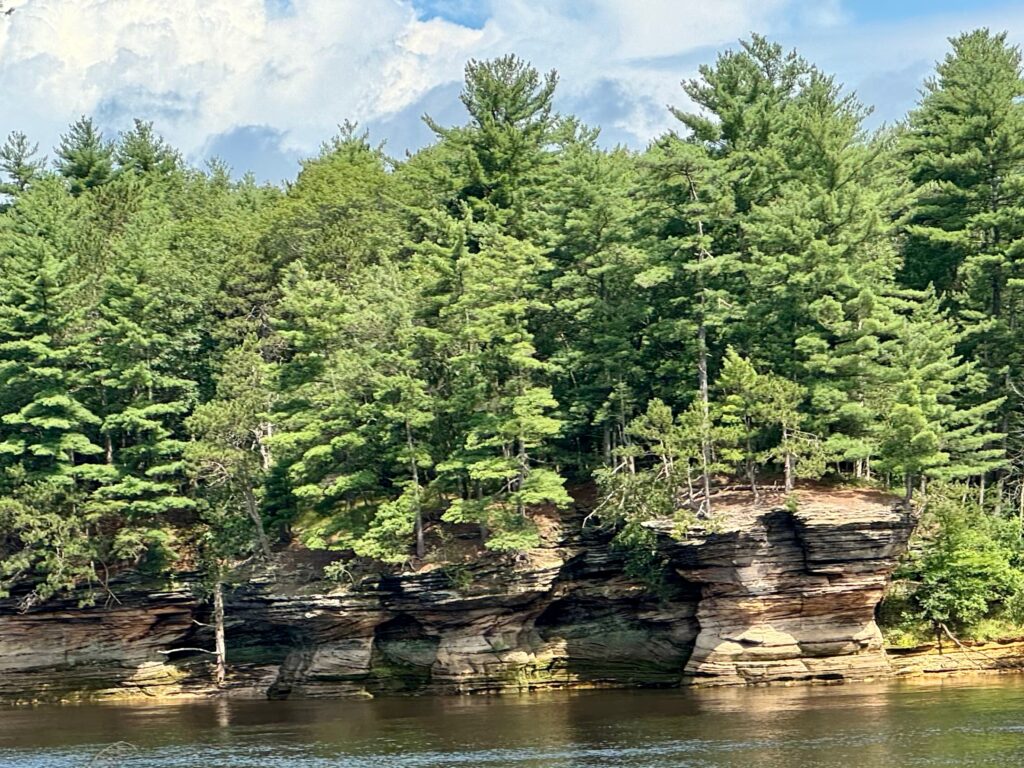 An evergreen forest with huge sandstone rock formations (the  Wisconsin Dells) sit on  the shore of a lake. 
