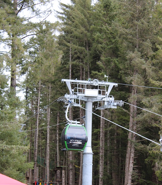 The Icy Strait Point gondola moves through the forest.  A silver support pole is shown behind a bright green gondola car. 