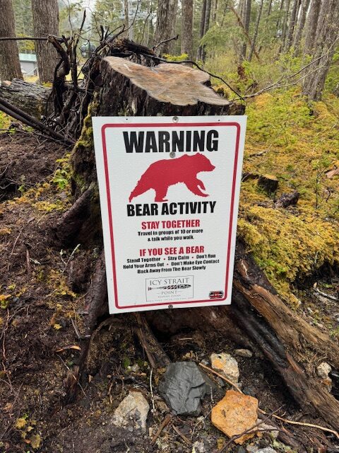 A sign that warns of bear activity is situated on a tree stump with moss behind it. 
