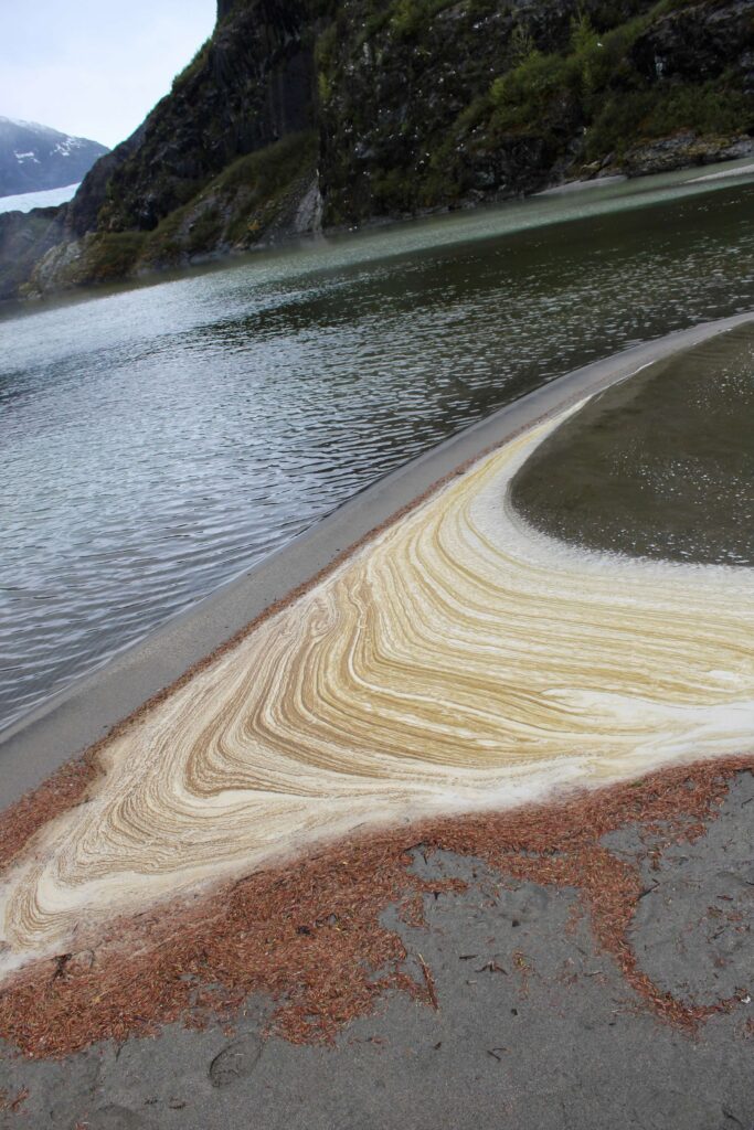 A lake meets the shore causing striations in the foam on the beach.  Colors are different shades of white and tan and there are pieces of brown and red seaweed washed up on shore too. 