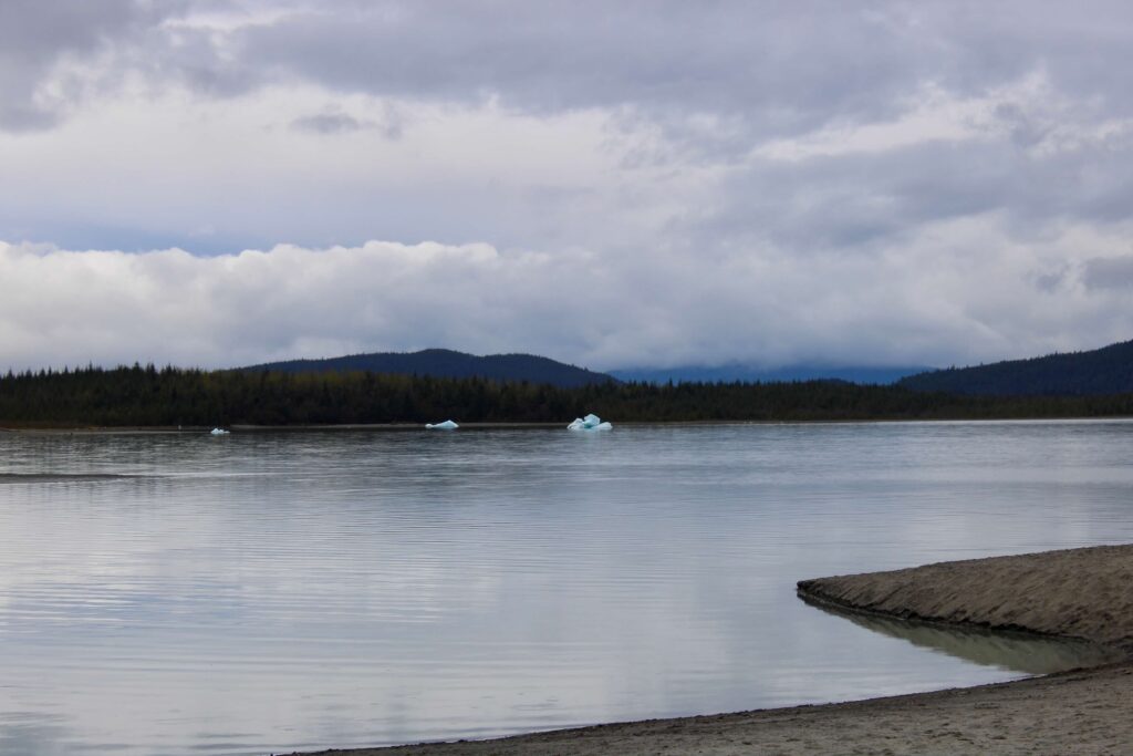 A flat lake has three small icebergs floating in it.  It meets the sandy shore near the foreground of the photo. 