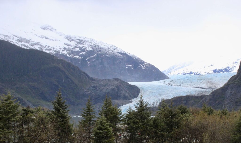 Snow covered mountains are in the background with a glacier in the valley of the mountains.  Pine trees dot the front of the photo, 