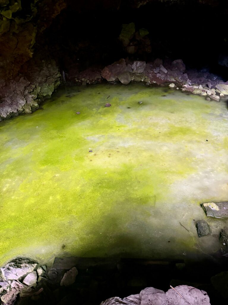 Neon yellow ice sits on the bottom of a cave