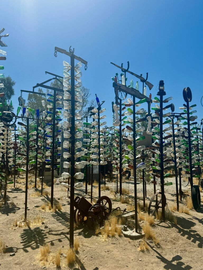 Glass bottles are arranged to resemble "trees".  There are rows and rows of these bottle trees in the desert. 