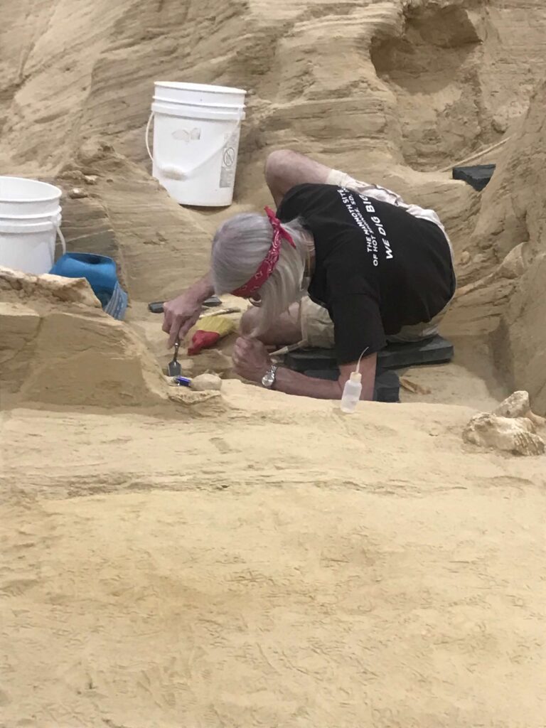 A paleontologist is working on the ground of The Mammoth Site, digging in the sand.