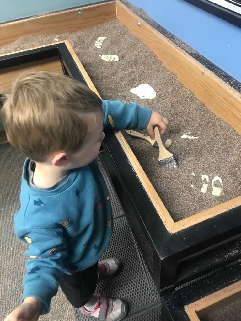 A young child holds a paintbrush in dirt.  The dirt is in an open table where the child is trying to uncover pretend fossils. 